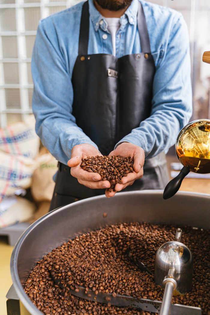Master coffee roaster holding freshly roasted beans for quality inspection.